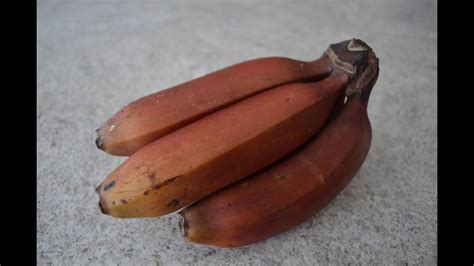 how to eat red bananas.